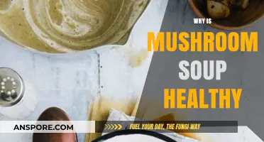 Nutritious Mushroom Soup: Boosting Immunity and Supporting Overall Health Naturally