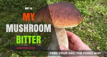 Understanding the Bitterness of Mushrooms
