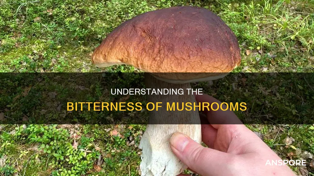 why is my mushroom bitter