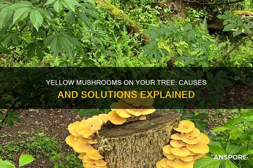 why is my tree growing yellow mushrooms