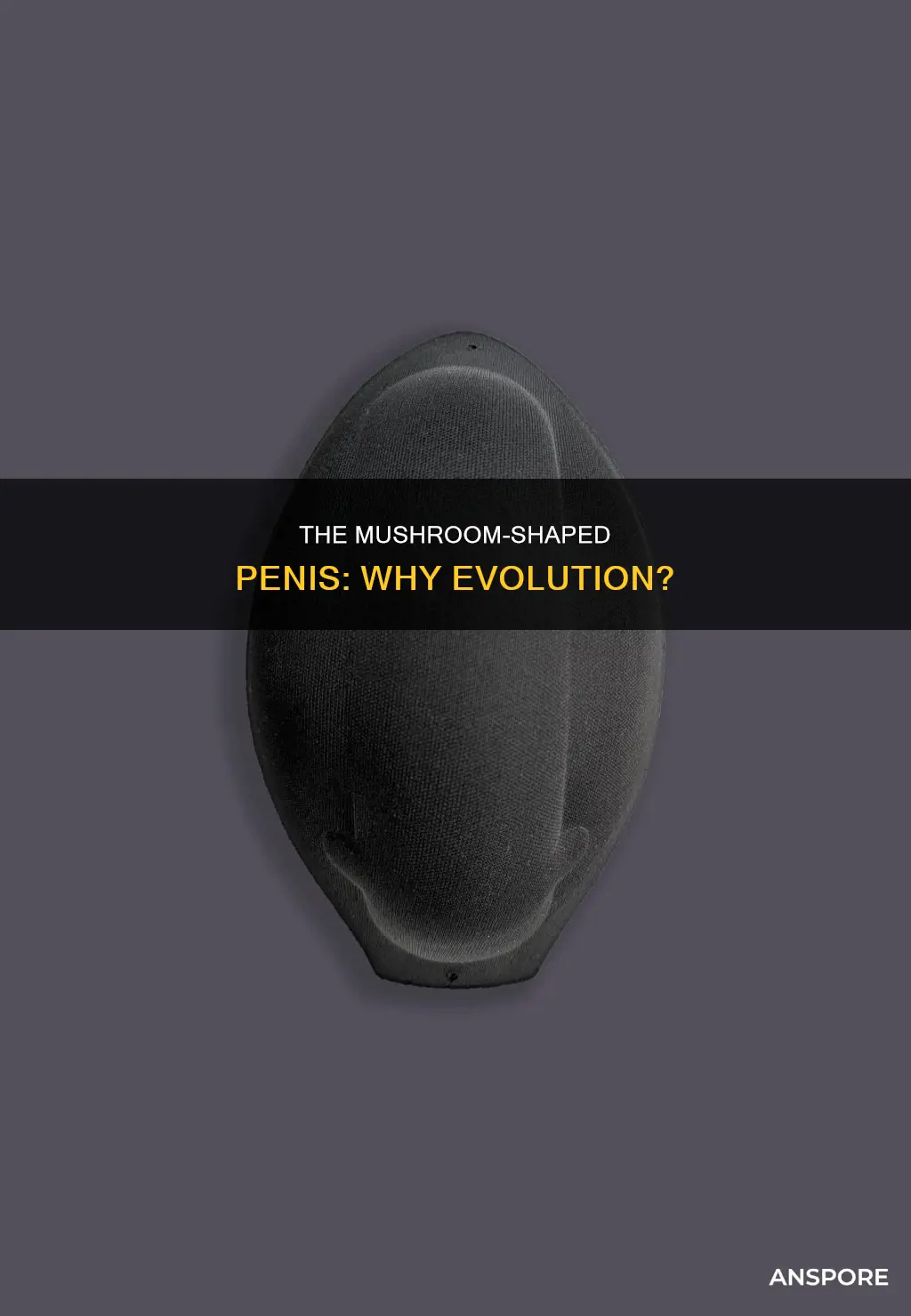 why is prnis mushroom shaped