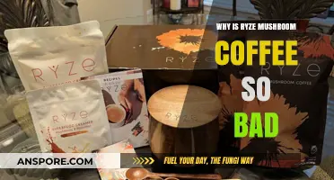 Ryze Mushroom Coffee: Uncovering the Bitter Truth Behind the Hype