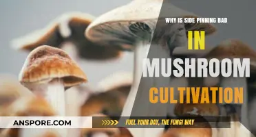 Side Pinning Pitfalls: How It Hinders Mushroom Cultivation Success