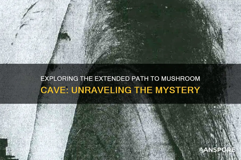 why is the cave to the mushroom cave longer