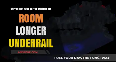 Underrail's Extended Cave Path to Mushroom Room: Reasons Explained