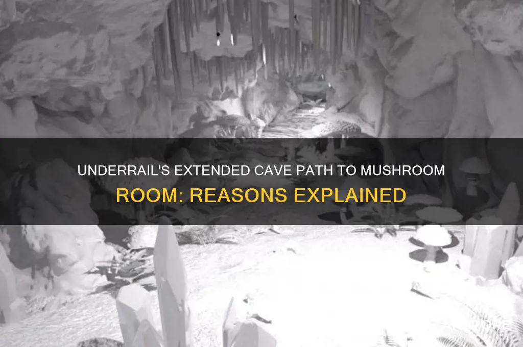 why is the cave to the mushroom room longer underrail