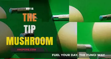 The Mystery Behind the Mushroom-Shaped Tip