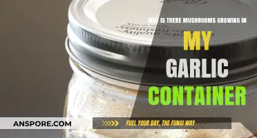Mushrooms in My Garlic Container: Causes and Prevention Tips