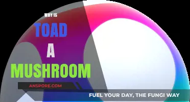 Toad's Mushroom Transformation: Unveiling the Mystery