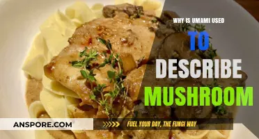 Umami Unveiled: Why Mushrooms Are the Ultimate Savory Superfood