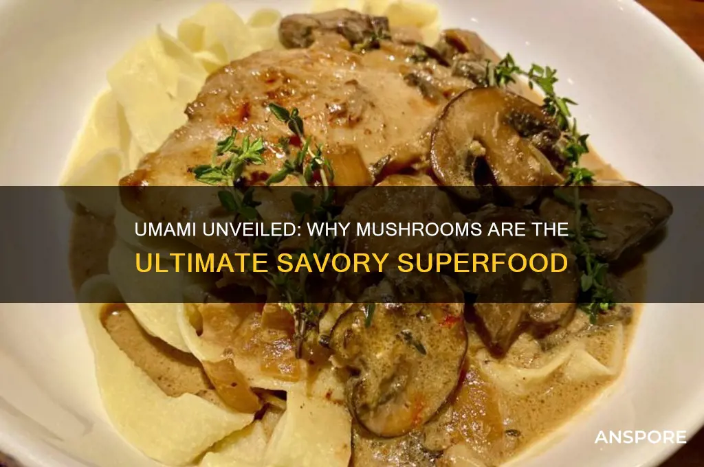 why is umami used to describe mushrooms