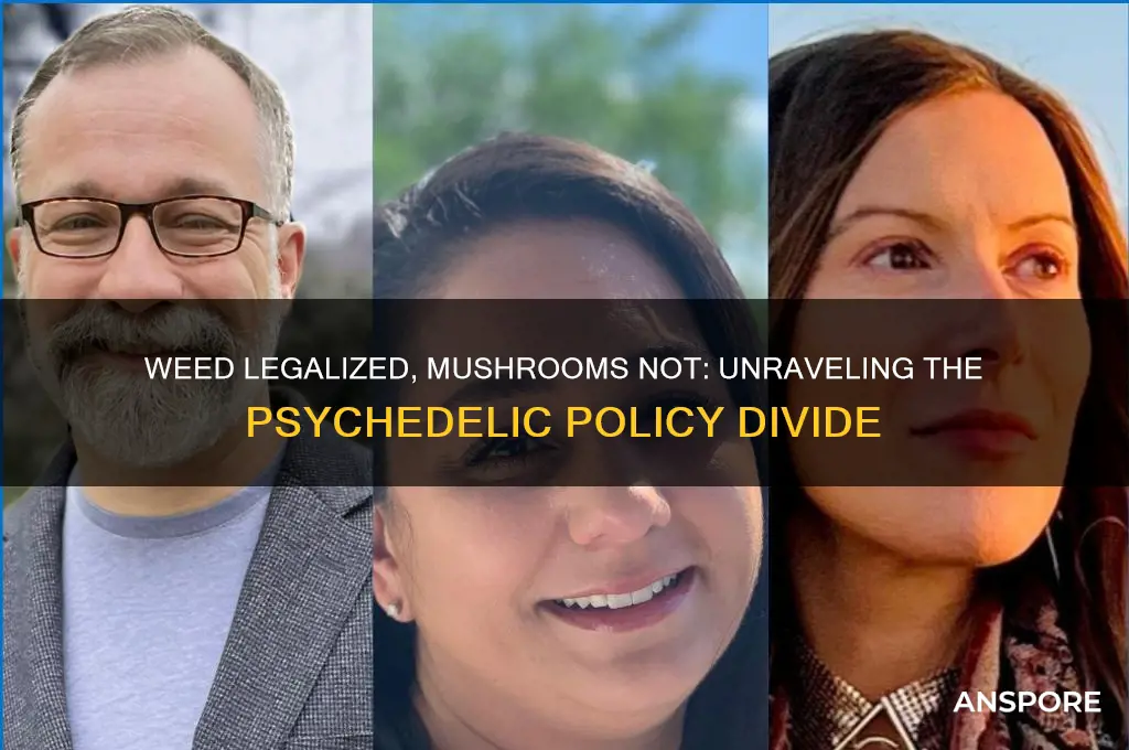 why is weed being legalized and not mushrooms