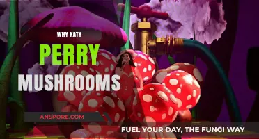 Katy Perry's Mushroom Obsession: Why?