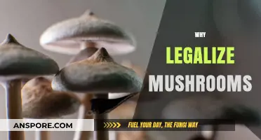 Unlocking Potential: Why Legalizing Mushrooms Benefits Society and Health