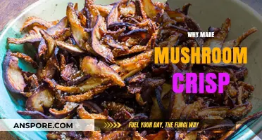 Crunchy, Healthy, and Irresistible: The Ultimate Mushroom Crisp Guide