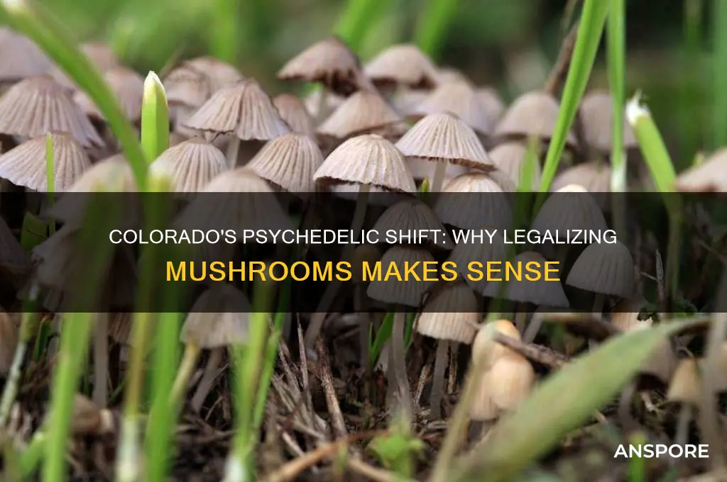 why make mushrooms being legal in colorado