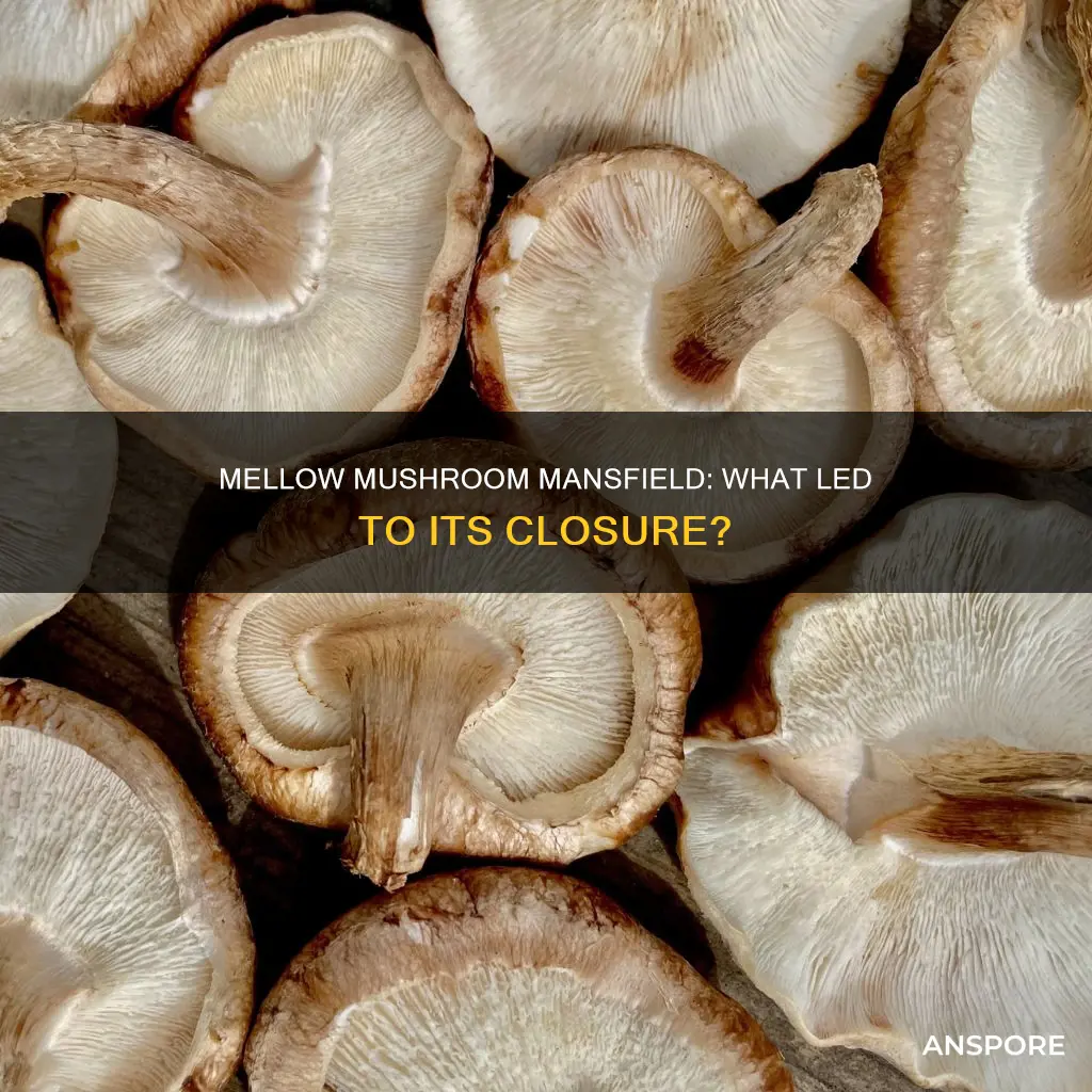 why mellow mushroom mansfield closed