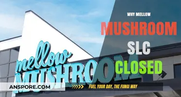 Mellow Mushroom SLC: What Led to Its Closure?