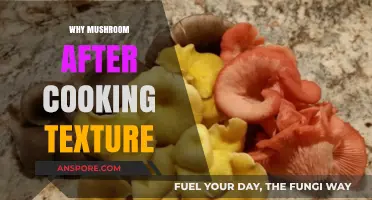 Why Mushrooms Change Texture After Cooking: A Culinary Exploration