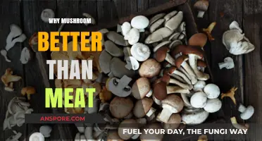 Mushrooms: A Healthy, Eco-Friendly Meat Alternative