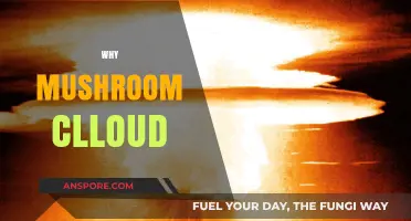 The Mushroom Cloud: A Haunting Symbol of Destruction