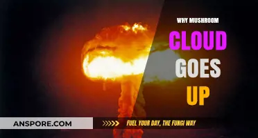 Understanding the Vertical Rise of Mushroom Clouds