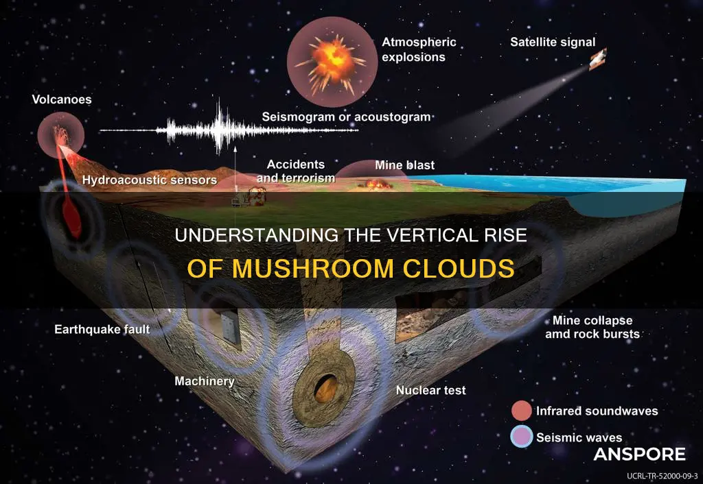 why mushroom cloud goes up