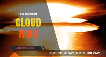 The Mystical Mushroom Cloud Ring