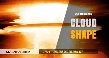 How Mushroom Clouds Form: Understanding the Shape