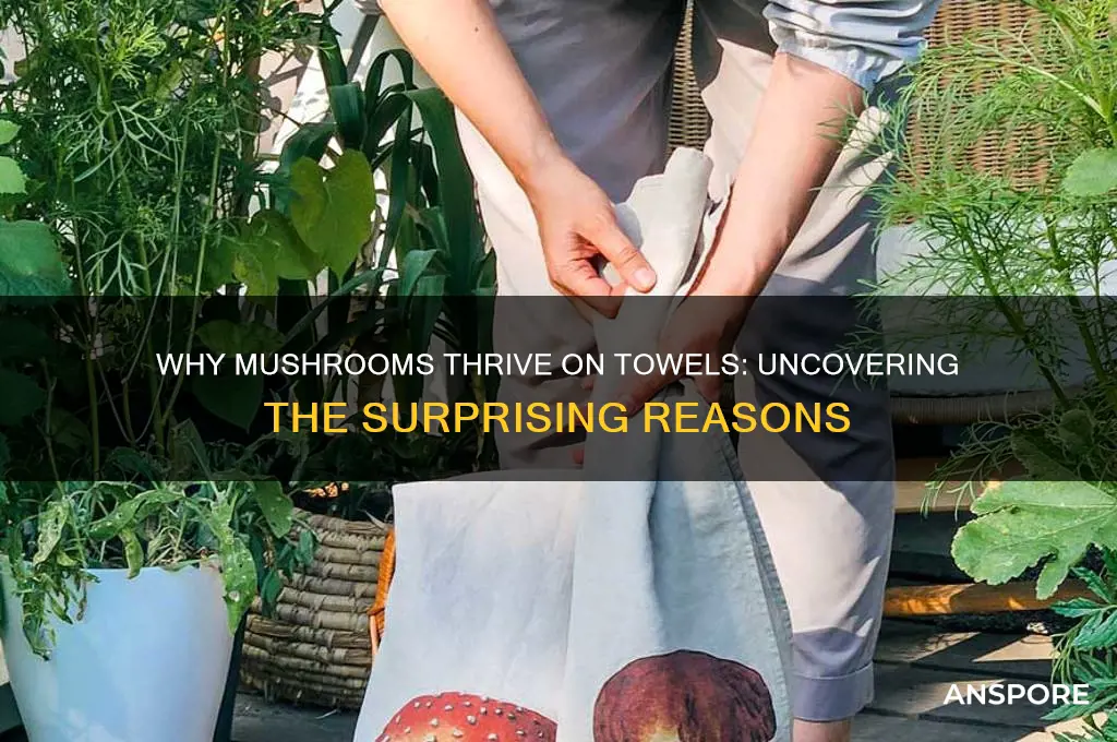 why mushroom grow on towel