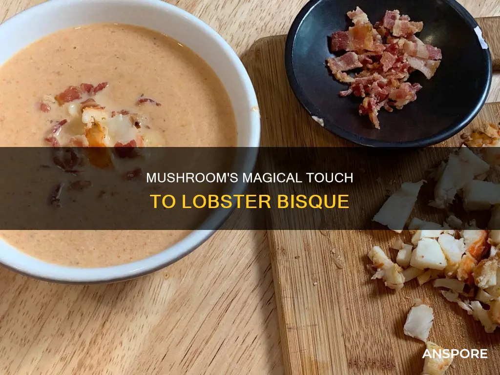 why mushroom in lobster bisqu
