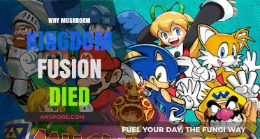 The Mushroom Kingdom Fusion's Untimely Demise