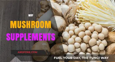 Mushroom Supplements: Nature's Superfood for Your Health