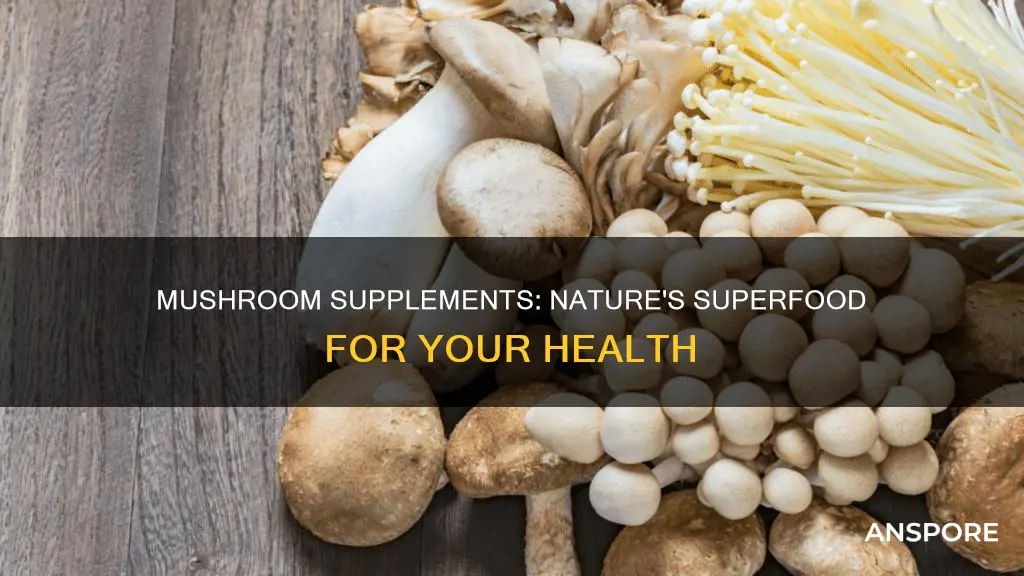 why mushroom supplements