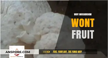 Mushroom Mysteries: Why Won't They Fruit?