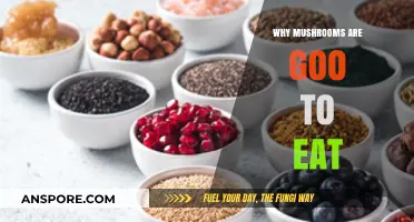 Mushrooms: Nutritious, Delicious, and Healthy Superfoods to Add to Your Diet