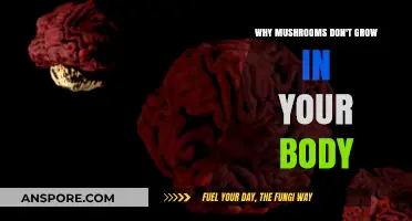 Mushrooms in Your Body? Debunking the Myth of Internal Fungal Growth