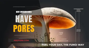 Mushrooms' Pores: Nature's Intricate Design for Spores