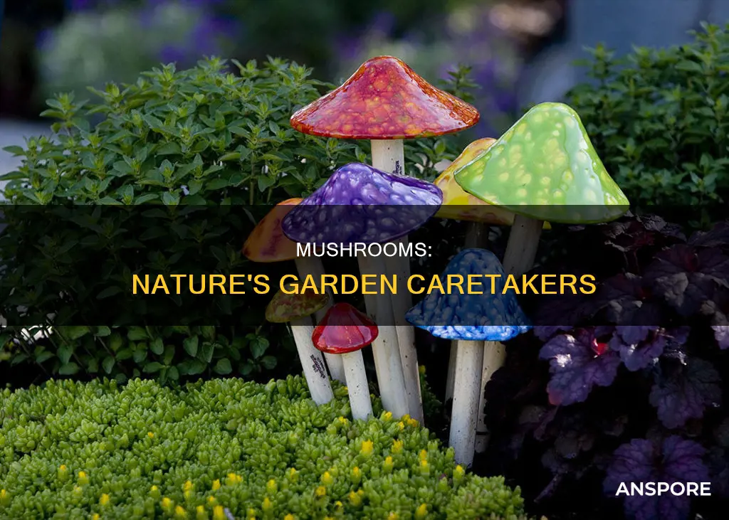 why mushrooms in garden