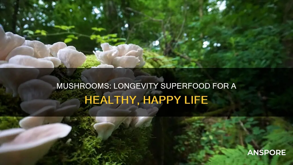 why mushrooms increase longevity
