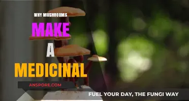 Mushrooms' Medicinal Magic: Unlocking Nature's Healing Power and Potential