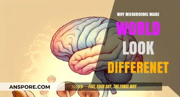 Mushrooms' Magic: How Fungi Transform Our Perception of the World