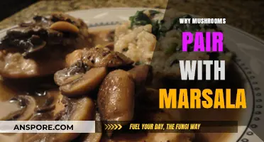 Marsala and Mushrooms: A Match Made in Heaven