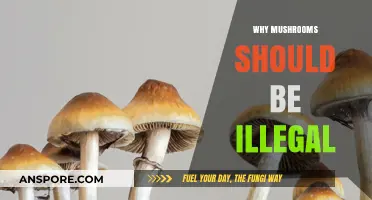 Mushrooms: A Dangerous and Illegal Delicacy