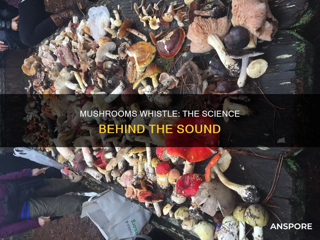 why mushrooms whistle