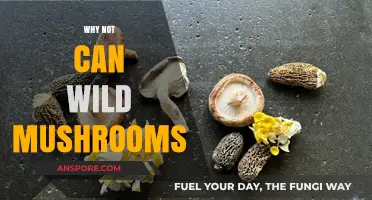 Foraging Risks: Why You Shouldn't Can Wild Mushrooms at Home