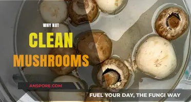 Mushrooms: Why Bother Cleaning Them?