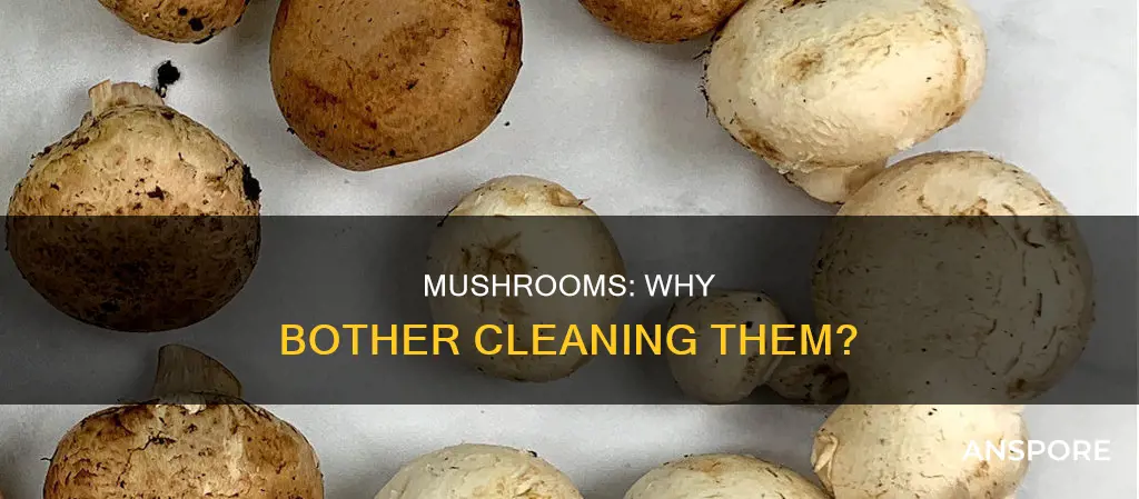 why not clean mushrooms