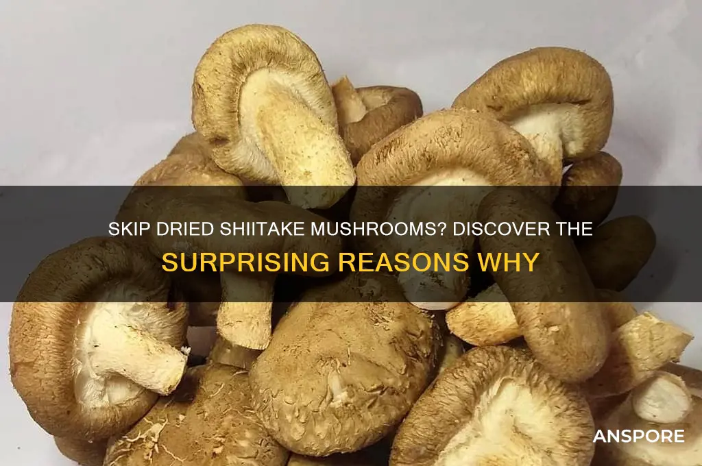 why not eat dried shitake mushrooms