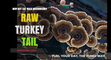 Avoid Raw Turkey Tail Mushrooms: Risks and Safe Consumption Tips